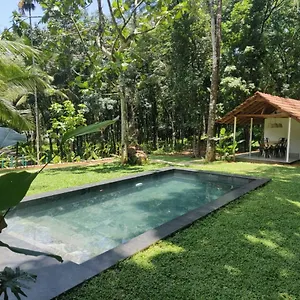 pool-villa-the-humming-trees-pala.kerala-hotels.net/